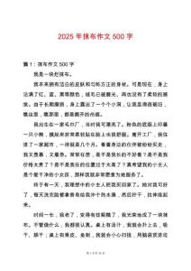 2025年抹布作文500字
