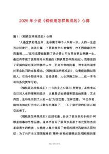 2025年小說《鋼鐵是怎樣煉成的》心得