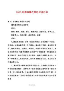 2025年描寫薰衣草的好詞好句