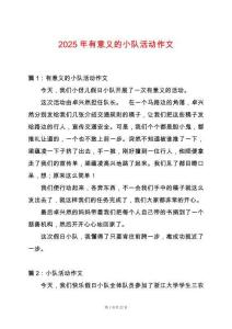 2025年有意義的小隊(duì)活動作文