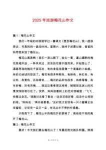 2025年巡游梅花山作文