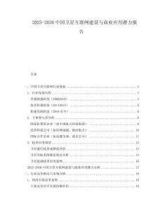2025-2030中國衛星互聯網建設與商業應用潛力報告