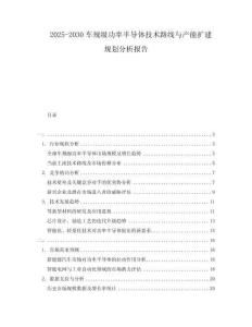 2025-2030車規(guī)級功率半導(dǎo)體技術(shù)路線與產(chǎn)能擴建規(guī)劃分析報告