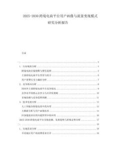 2025-2030跨境電商平臺用戶畫像與流量變現(xiàn)模式研究分析報告