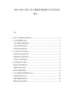 2025-2030中國(guó)工業(yè)大數(shù)據(jù)價(jià)值挖掘與平臺(tái)化運(yùn)營(yíng)模式