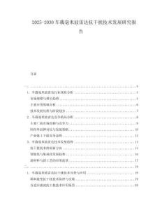 2025-2030車載毫米波雷達(dá)抗干擾技術(shù)發(fā)展研究報(bào)告