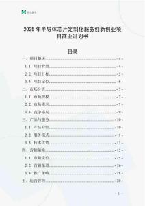 2025年半導體芯片定制化服務創新創業項目商業計劃書
