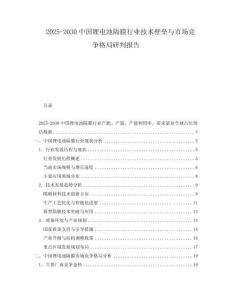 2025-2030中國鋰電池隔膜行業(yè)技術(shù)壁壘與市場競爭格局研判報(bào)告