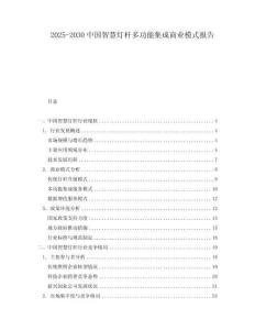 2025-2030中國智慧燈桿多功能集成商業(yè)模式報(bào)告