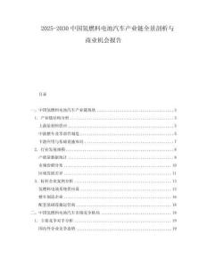 2025-2030中國(guó)氫燃料電池汽車產(chǎn)業(yè)鏈全景剖析與商業(yè)機(jī)會(huì)報(bào)告