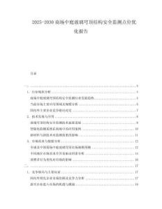 2025-2030商場中庭玻璃穹頂結構安全監測點位優化報告