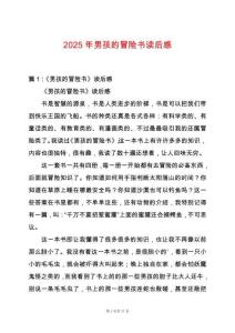 2025年男孩的冒險(xiǎn)書讀后感