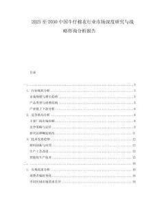 2025至2030中國牛仔棉衣行業(yè)市場深度研究與戰(zhàn)略咨詢分析報告