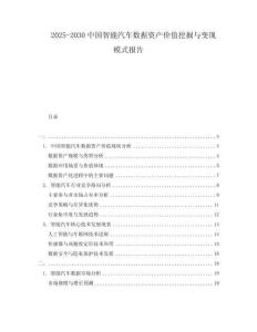 2025-2030中國智能汽車數據資產價值挖掘與變現模式報告