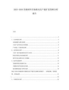 2025-2030負極材料市場格局及產能擴張策略分析報告