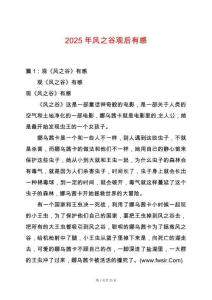 2025年風(fēng)之谷觀后有感