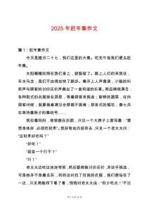 2025年趕年集作文