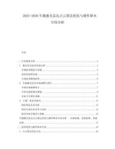 2025-2030車載激光雷達(dá)點(diǎn)云算法優(yōu)化與硬件降本空間分析