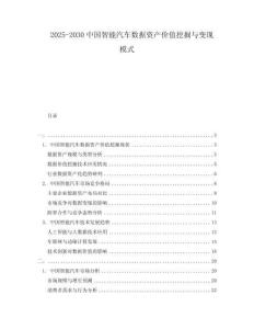 2025-2030中國智能汽車數據資產價值挖掘與變現模式