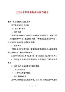 2025年蘇寧易購揀件實習報告