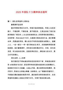 2025年部隊十九精神體會強軍