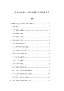 我國婚姻法中夫妻共同財產范圍界定研究