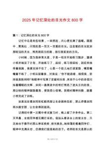2025年記憶深處的目光作文800字