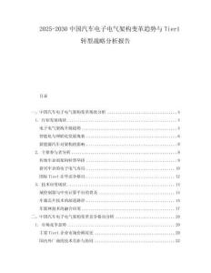 2025-2030中國汽車電子電氣架構變革趨勢與Tier1轉型戰略分析報告