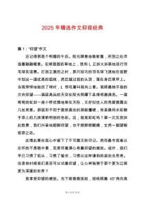 2025年精選作文仰視經典