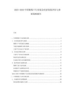 2025-2030中國葡萄干行業展會經濟效果評估與參展策略報告