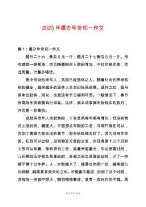 2025年置辦年貨初一作文