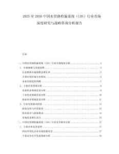 2025至2030中國(guó)水管路檢漏系統(tǒng)（LDS）行業(yè)市場(chǎng)深度研究與戰(zhàn)略咨詢分析報(bào)告