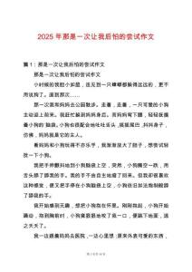 2025年那是一次讓我后怕的嘗試作文