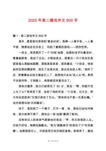 2025年高二嬉戲作文800字