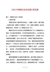 2025年熊貓總動員動畫片觀后感