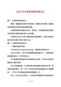 2025年計算機網絡存儲論文