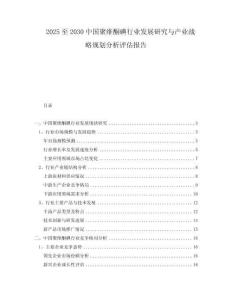 2025至2030中國聚維酮碘行業發展研究與產業戰略規劃分析評估報告