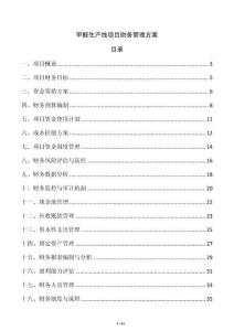 甲醛生產(chǎn)線項目財務(wù)管理方案