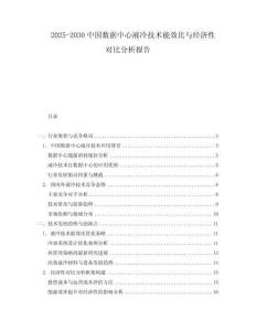 2025-2030中國數據中心液冷技術能效比與經濟性對比分析報告