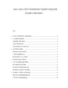 2025-2030中國(guó)半導(dǎo)體材料國(guó)產(chǎn)化進(jìn)程中的技術(shù)壁壘突破專項(xiàng)研究報(bào)告