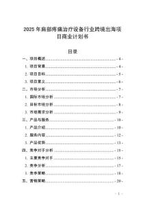 2025年肩部疼痛治療設備行業跨境出海項目商業計劃書