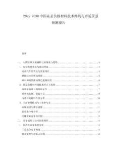 2025-2030中國硅基負極材料技術路線與市場前景預測報告