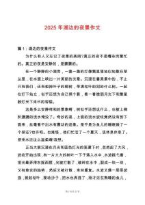 2025年湖邊的夜景作文