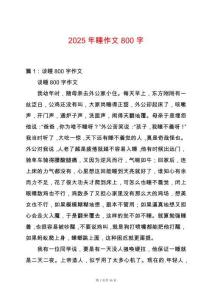 2025年睡作文800字