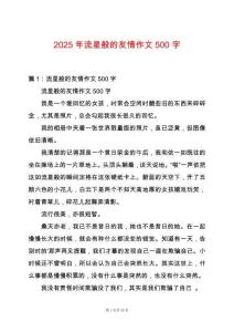2025年流星般的友情作文500字