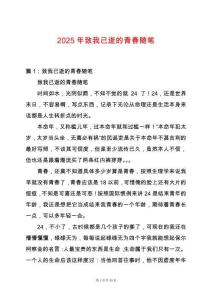 2025年致我已逝的青春隨筆