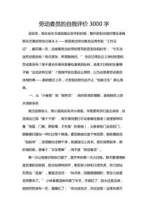 勞動(dòng)委員的自我評價(jià)3000字