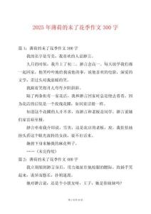 2025年薄荷的未了花季作文300字