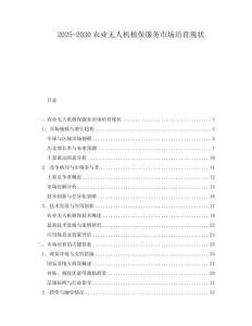 2025-2030農(nóng)業(yè)無(wú)人機(jī)植保服務(wù)市場(chǎng)培育現(xiàn)狀