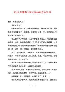 2025年漂亮火花火花的作文500字